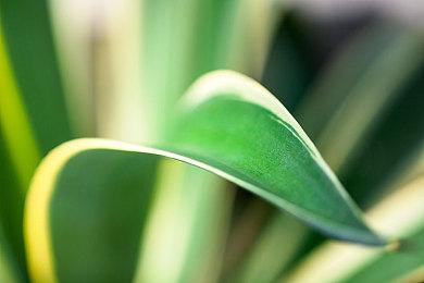 《印地赛车》新作宣布跳票：尚未达到令人满意的状态